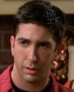 😐 Ross Geller Friends Ross, Geller, Friends, tv show, sitcom telegram sticker