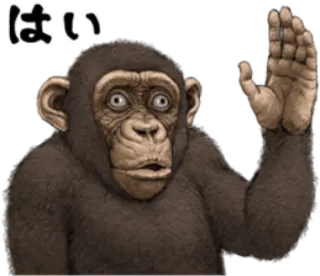 🐵 はい monyet, binatang, salam, jepang, melambai telegram sticker