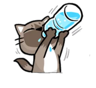 🍼 Katze, trinken, Wasser, durstig, Cartoon, Aufkleber telegram sticker