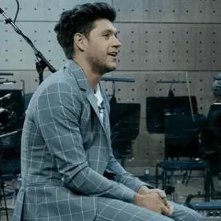 🌿 Niall Horan músico, cantante, celebridad, Niall Horan telegram sticker