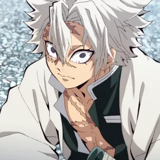 🗡 Sanemi Shinazugawa Demon Slayer Anime, Cicatrisé, Cheveux Blancs, Demon Slayer, Sanemi, Shinazugawa whatsapp sticker