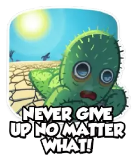 👊 NEVER GIVE UP NO MATTER WHAT! cactus, never give up, motivational, desert, determination, persistence telegram sticker