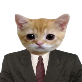 👨‍⚖️ 고양이, 정장, 동물, 웃긴, 밈, 새끼 고양이 telegram sticker