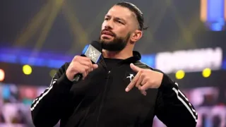 ROMAN REIGNSs kang pack whatsapp stickers