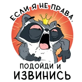 😡 ЕСЛИ Я НЕ ПРАВА, ПОДОЙДИ И ИЗВИНИСЬ rakun, mahkota, kartun, kasar, lucu, permintaan maaf, sarkastik whatsapp sticker