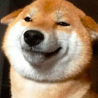 😌 shiba inu, dog, meme, animal, pet, cute telegram sticker