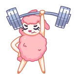 💪 levantamento de peso, animal, desenho animado, fitness, exercício, poodle whatsapp sticker