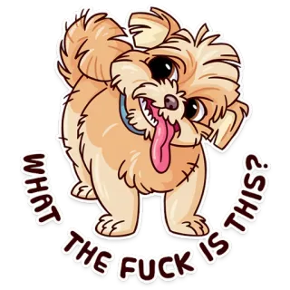 😛 WHAT THE FUCK IS THIS? perro, palabrota, dibujo animado, divertido, animal, mascota whatsapp sticker