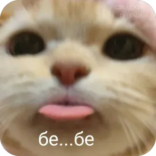 😛 бе...бе cat, tongue, cute, animal telegram sticker