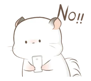 😯 Nope animale, carino, cincillà, sms, no, no telegram sticker