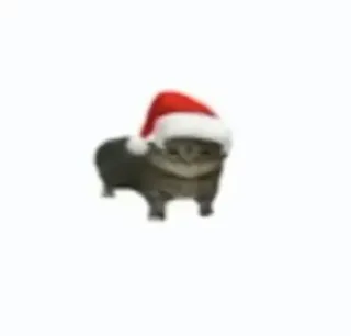 🎄 chat, bonnet de Noël, Noël, fête, animal, animal de compagnie telegram sticker