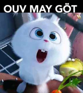 🤭 The Secret Life of Pets OUV MAY GÖT 토끼, 귀여운, 웃긴, 밈, 애완 동물 whatsapp sticker