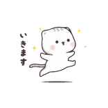 ✨ gato, gatito, lindo, kawaii, mascota, animal telegram sticker