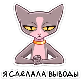 😐 Я СДЕЛАЛА ВЫВОДЫ Katze, Sphynx, Einstellung, ernst, Katzenart, Meme, Ausdruck, Haustier whatsapp sticker