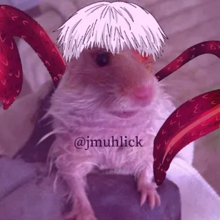😶 @jmuhlick hamster, animal, animal de estimação, fofo, engraçado, desenho, anime, tentáculos telegram sticker