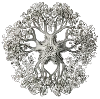 🧠 abstract, pattern, art, design, illustration, ornate, decorative telegram sticker