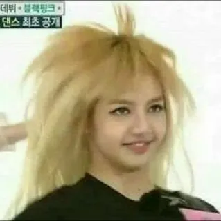 🤙 Lisa лиса, blackpink, айдол, знаменитость, kpop, женщина telegram sticker