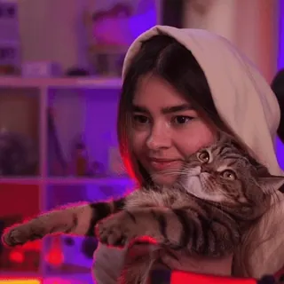 😼 woman, cat, pet, cute, domestic animal, hoodie, portrait telegram sticker