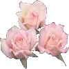Украшения 🔝 @emodji_all telegram emojis 🌷