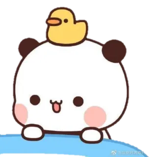 💧 mono, kawaii, panda, pato, animal, pegatina whatsapp sticker