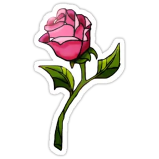 🌹 rose, flower, floral, pink, nature, plant, sticker telegram sticker