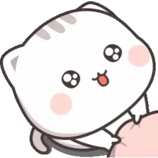 🙈 kat, schattig, dier, kawaii telegram sticker