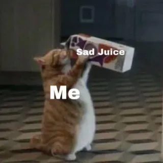 🍥 Sad Juice
Me gato, suco, triste, meme telegram sticker