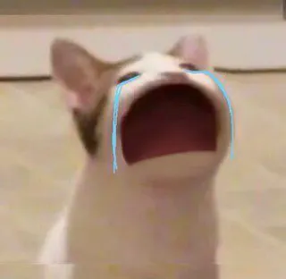 😭 crying cat pop cat telegram sticker