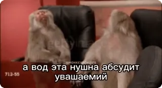 🌟 а вод эта пушна абсудит
увашаемий scimmie, animali, seduto, divertente, meme whatsapp sticker
