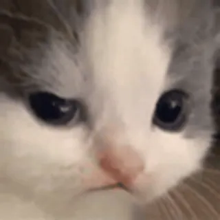 🤨