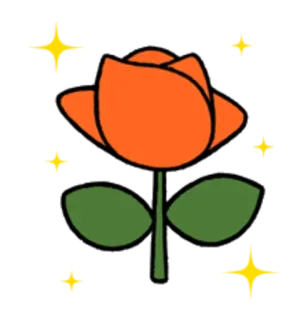 🌹 ดอกไม้, กุหลาบ, ประกาย, สีส้ม, สีเขียว telegram sticker