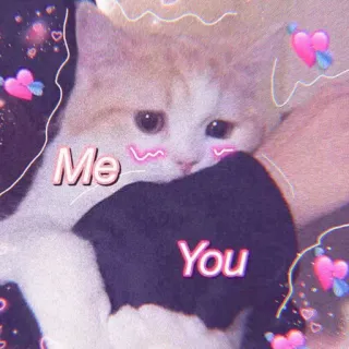 🐈 Me
You kucing, cinta, imut, hewan peliharaan, kawaii, binatang, hubungan telegram sticker