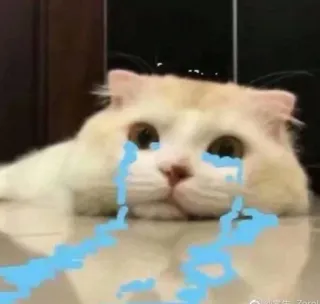 😸 kat, huilen, verdrietig, meme, dier, emotie telegram sticker