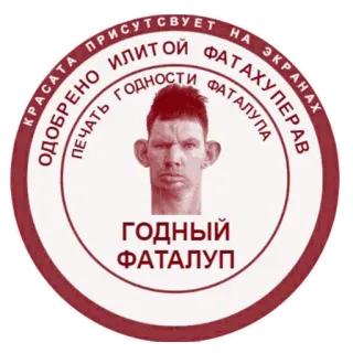 👍 КРАСАТА ПРИСУТСТВУЕТ НА ЭКРАНАХ
ОДОБРЕНО ИЛИТОЙ
ПЕЧАТЬ ГОДНОСТИ ФАТАХУПЕРАВ
ГОДНЫЙ ФАТАЛУП meme, funny, weird, text, portrait telegram sticker