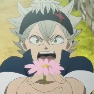 🐾 Asta Black Clover anime, manga, shonen, Asta, Black Clover, flower, shouting telegram sticker