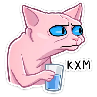 🤨 KXM кот, сфинкс кот, смешной, мем, выражение, стакан воды telegram sticker