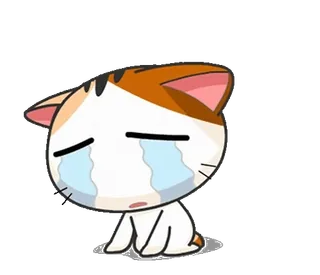 😭 mèo, khóc, buồn, kawaii, nhãn dán telegram sticker