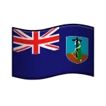 🇲🇸