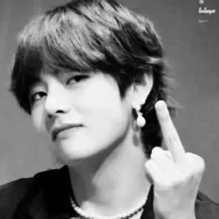 🖕 средний палец, оскорбительный жест, k-pop, черно-белое, портрет, человек telegram sticker