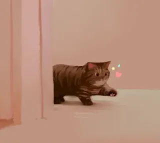 ❤️ chat, animal, animal de compagnie, mignon, domestique, félin whatsapp sticker