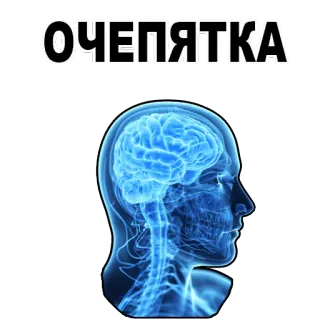 😱 ОЧЕПЯТКА brain, mistake, error, head, medical, anatomy telegram sticker