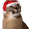 Christmas Random @TgEmodziBot telegram emojis 👍