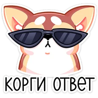 😎 КОРГИ ОТВЕТ 코기, 개, 동물, 안경, 만화, 밈 telegram sticker