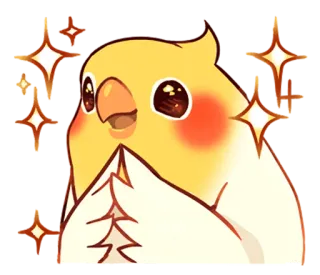 ✨ vẹt Cockatiel, chim, dễ thương, lấp lánh, động vật telegram sticker