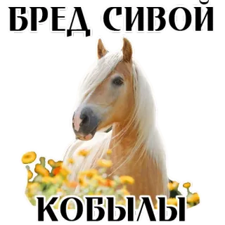 Stickers With Horses @stickersb2b telegram stickers