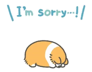😭 I'm Sorry...! maaf, permintaan maaf, imut, corgi, anjing, binatang, kartun telegram sticker