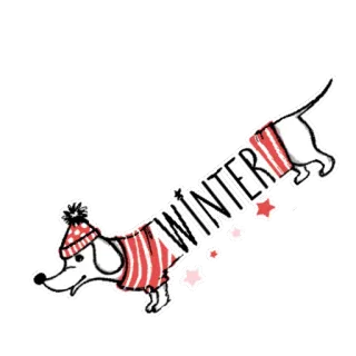 🐶 WINTER perro, invierno, perro salchicha, nieve, fiestas, frío, tiempo, lindo telegram sticker