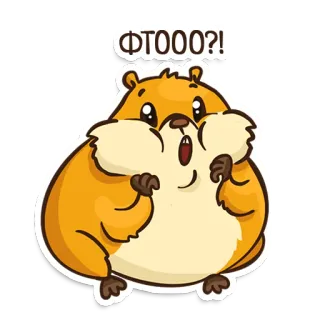 😱 ФТООО?! hamster, surprise, choqué, dessin animé, animal, mignon, rongeur whatsapp sticker
