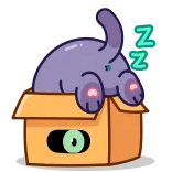 💤