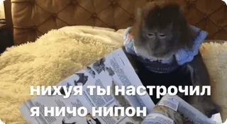 🧐 нихуя ты настрочил
я ничо нипон scimmia, lettura, russo, offensivo, animale whatsapp sticker
